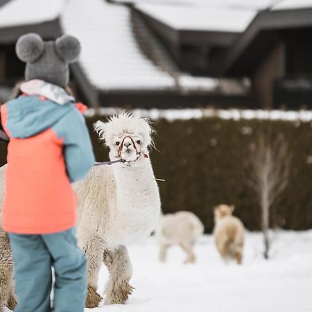 Family Aparthotel Winklwiese ヴァルダーオラ エクステリア 写真